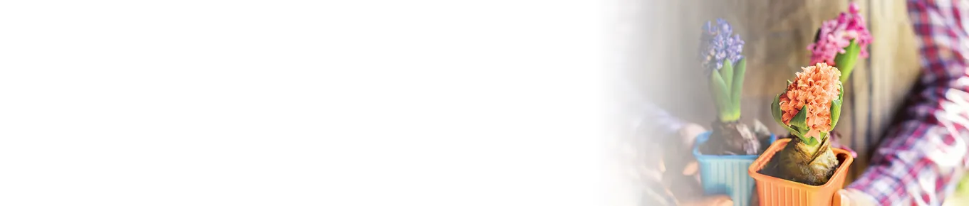 Questions to ask when thinking about disability insurance banner