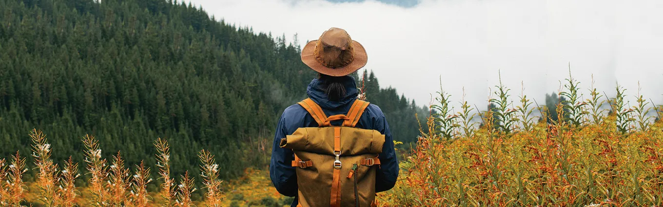 Financial Wellness Main Hero